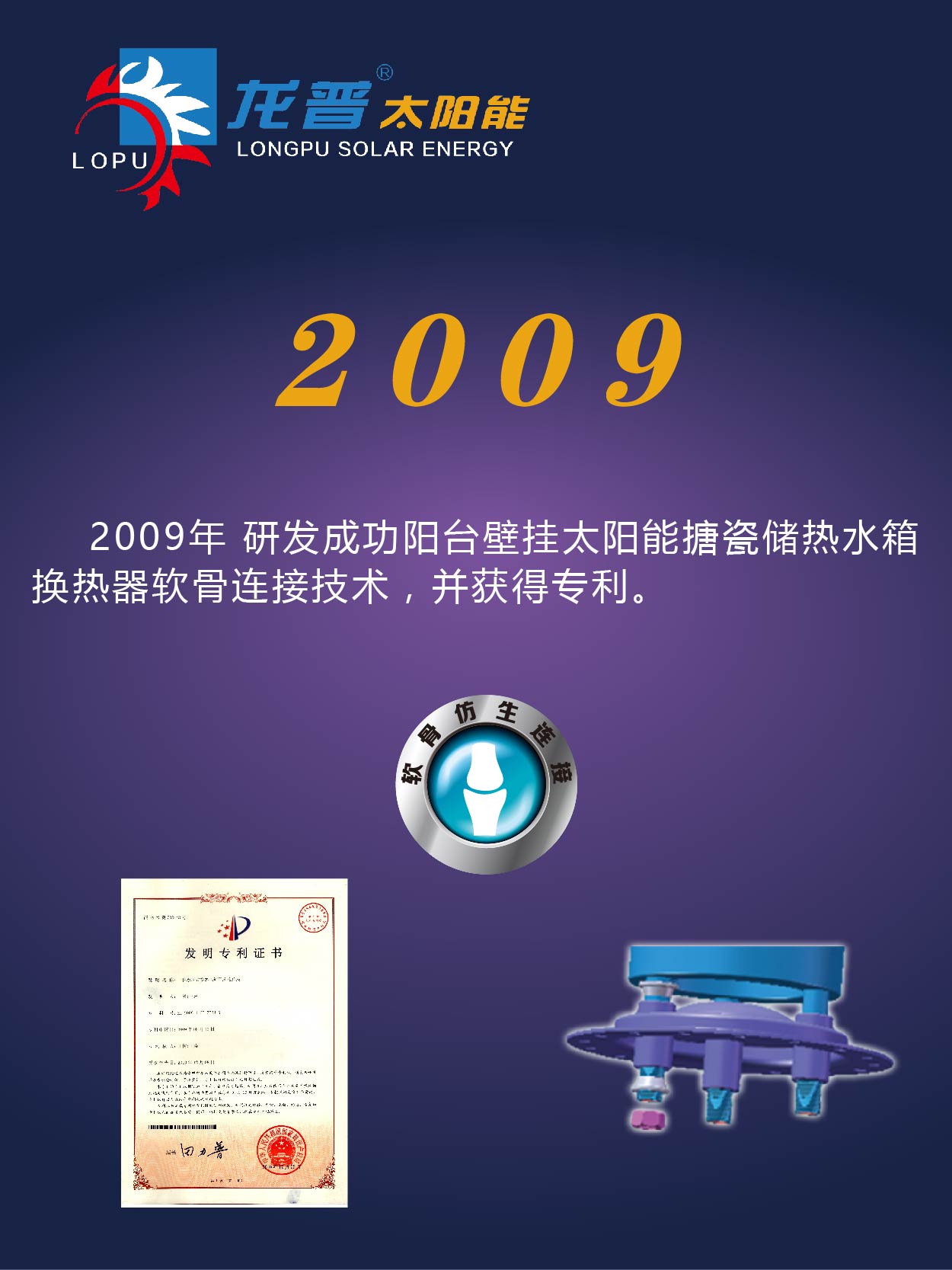 龍普太陽能2009年