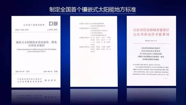 山東龍普太陽能股份有限公司，簡稱“龍普股份”